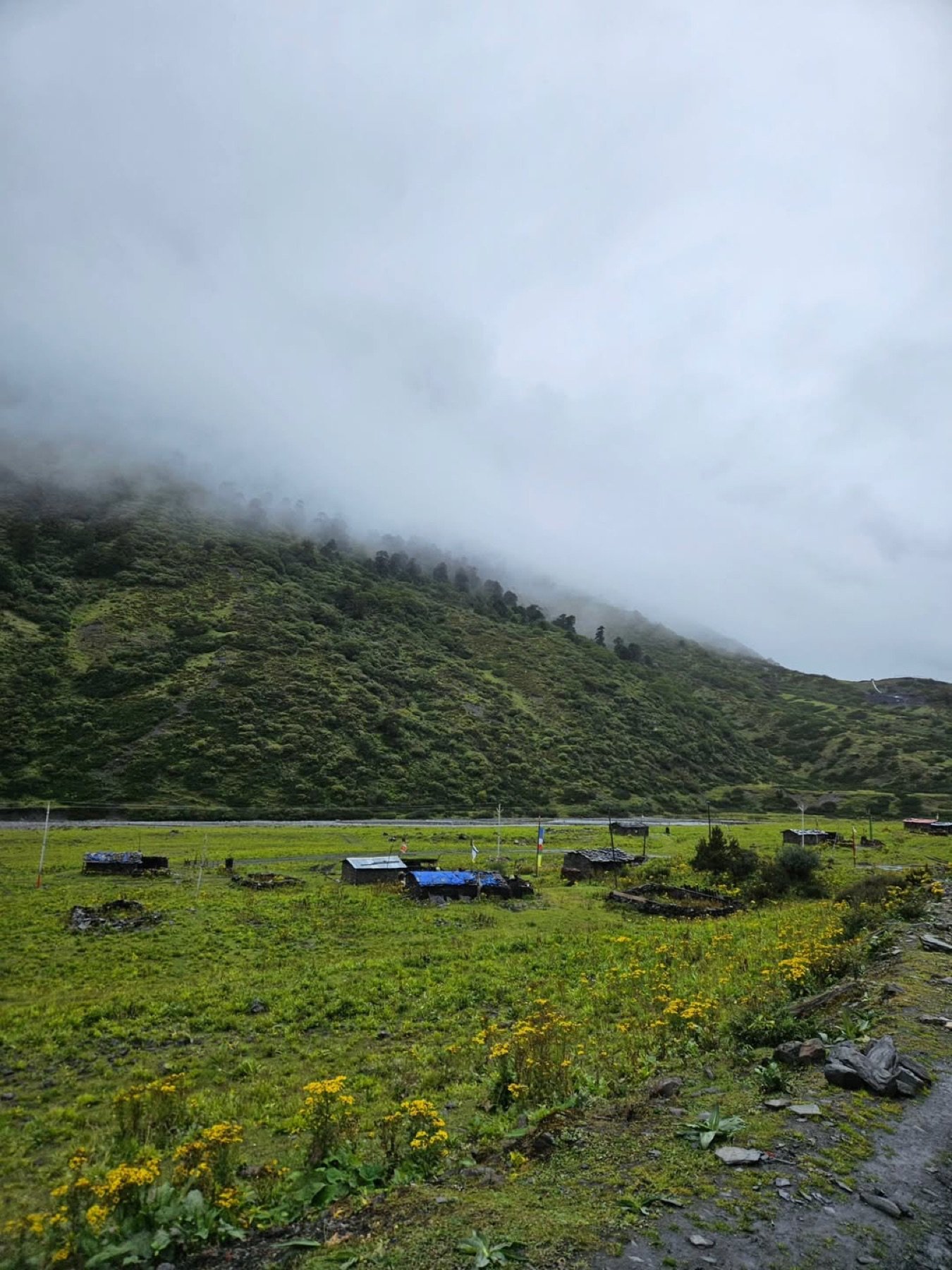 The Mago Valley &mdash; wildflower meadows and yak-herders' stone huts under a mist-draped ridge